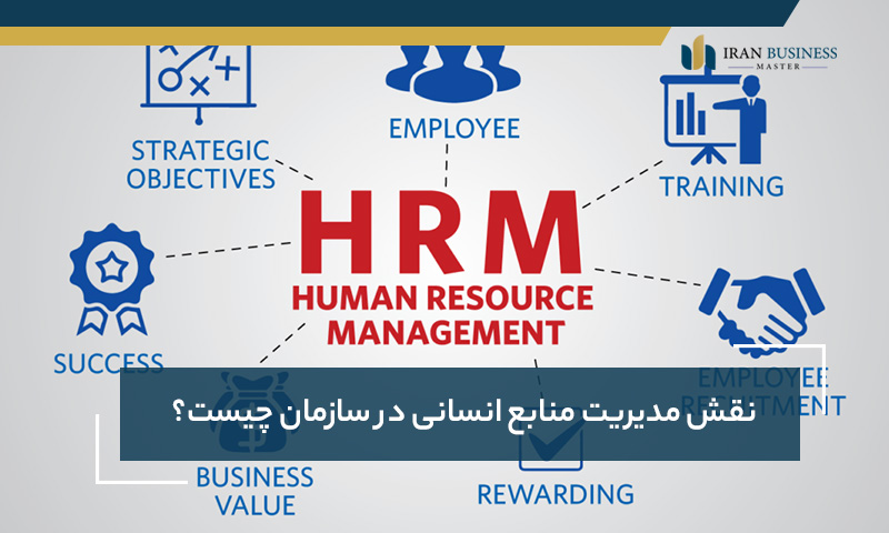 نقش مدیریت منابع انسانی در سازمان چیست؟